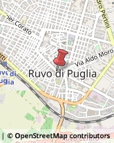 Protezione Civile - Servizi Ruvo di Puglia,70037Bari