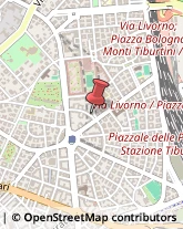 Agenzie ed Uffici Commerciali Roma,00162Roma