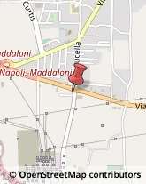 Autotrasporti Maddaloni,81024Caserta