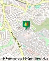 Tour Operator e Agenzia di Viaggi,00143Roma