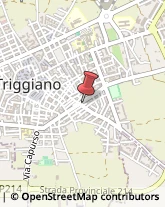 Cucine per Comunità Triggiano,70019Bari