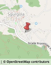 Frutta Secca Sgurgola,03010Frosinone