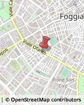 Podologia - Studi e Centri Foggia,71122Foggia