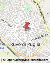 Borse - Dettaglio Ruvo di Puglia,70037Bari