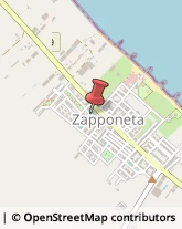 Bed e Breakfast Zapponeta,71030Foggia