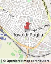 Turismo - Consulenze Ruvo di Puglia,70037Bari