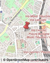 Via Ignazio Giorgi, 56,00162Roma