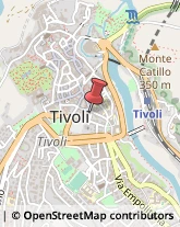 Scenografi e Pittori d'Arte - Studi Tivoli,00019Roma