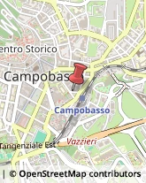 Bulbi e Sementi Campobasso,86100Campobasso