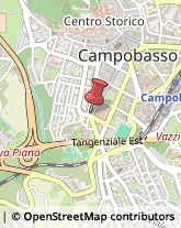 Trasporto Pubblico,86100Campobasso