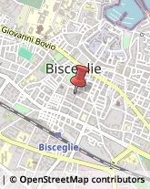 Ottica, Occhiali e Lenti a Contatto - Dettaglio Bisceglie,70052Barletta-Andria-Trani