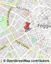 Tour Operator e Agenzia di Viaggi Foggia,71121Foggia