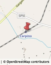 Ferrovie Carpino,71010Foggia