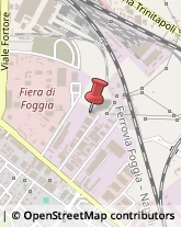 Fuoristrada ed Accessori,71100Foggia