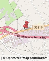 Istituti di Bellezza San Cesareo,00030Roma