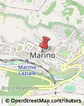 Stazioni di Servizio e Distribuzione Carburanti Marino,00047Roma