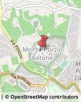 Ingegneri Monte Porzio Catone,00078Roma