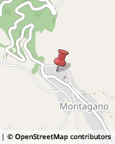 Miele Montagano,86023Campobasso