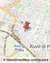 Profumi - Produzione e Commercio Ruvo di Puglia,70037Bari