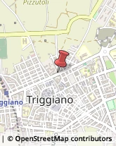 Ingegneri Triggiano,70019Bari