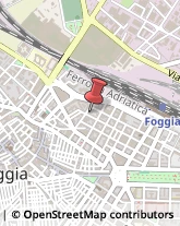 Zootecnia - Prodotti Foggia,71121Foggia