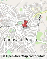 Consulenza Commerciale Canosa di Puglia,76012Barletta-Andria-Trani