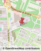 Agenzie di Vigilanza e Sorveglianza Andria,76123Barletta-Andria-Trani