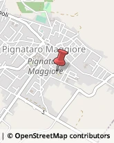 Licei - Scuole Private Pignataro Maggiore,81052Caserta