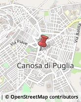 Abbigliamento Canosa di Puglia,76012Barletta-Andria-Trani
