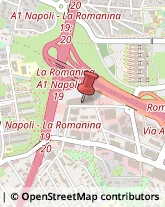 Valigerie ed Articoli da Viaggio - Dettaglio Roma,00173Roma