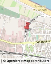 Maglieria - Produzione Barletta,76121Barletta-Andria-Trani