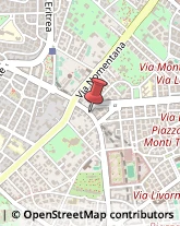 Bed e Breakfast,00162Roma