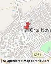 Elettromeccanica Orta Nova,71045Foggia