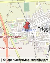 Abbigliamento in Pelle - Dettaglio Triggiano,70019Bari