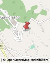 Autotrasporti Gavignano,00030Roma