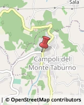 Piante e Fiori - Dettaglio Campoli del Monte Taburno,82030Benevento