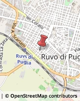 Ragionieri e Periti Commerciali - Studi Ruvo di Puglia,70037Bari