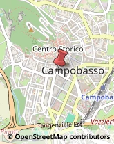 Zucchero,86100Campobasso