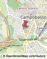 Tour Operator e Agenzia di Viaggi Campobasso,86100Campobasso