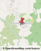 Piante e Fiori - Dettaglio Pontelandolfo,82027Benevento