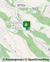 Agenzie Immobiliari Gallicano nel Lazio,00010Roma