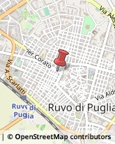 Agenzie Marittime Ruvo di Puglia,70037Bari