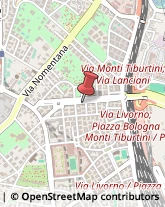 Fondi e Prodotti Finanziari - Investimenti,00162Roma