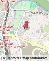 Consulenze Speciali Roma,00158Roma