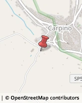 Agriturismi Carpino,71010Foggia