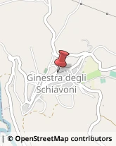 Tour Operator e Agenzia di Viaggi Ginestra degli Schiavoni,82020Benevento