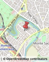 Cornici ed Aste - Dettaglio Roma,00141Roma