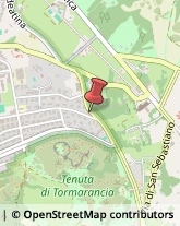 Articoli per Ortopedia,00179Roma