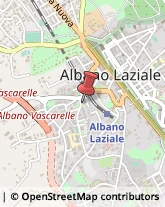 Scuole Pubbliche Albano Laziale,00041Roma