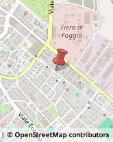 Tributi e Imposte - Uffici Foggia,71122Foggia